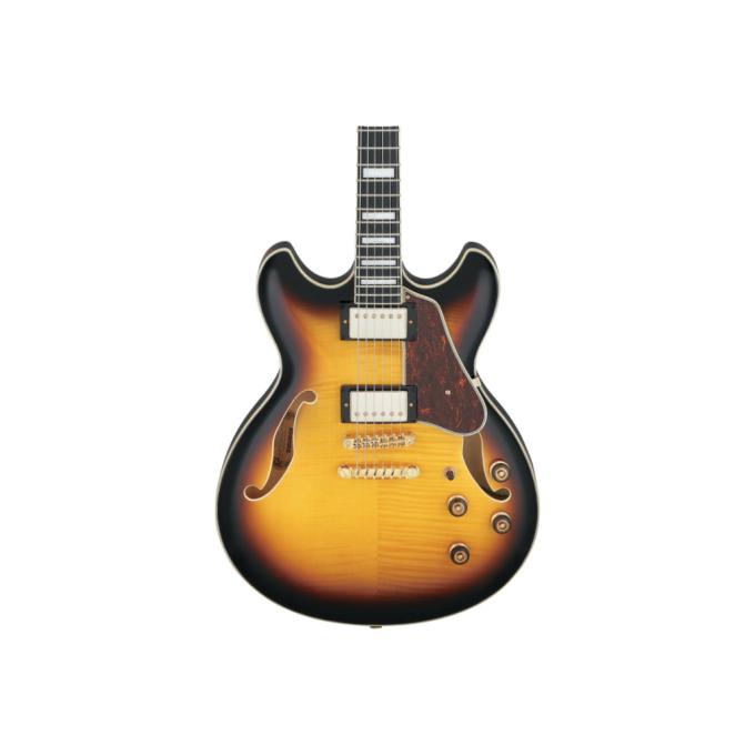 Ibanez 232548
