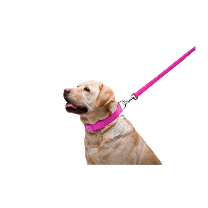 WAUDOG 33767