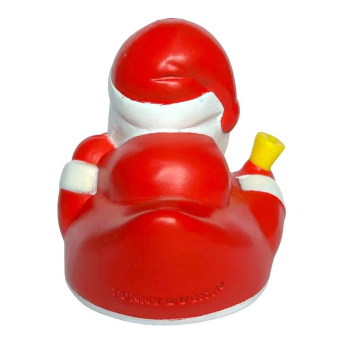 Funny Ducks 1322