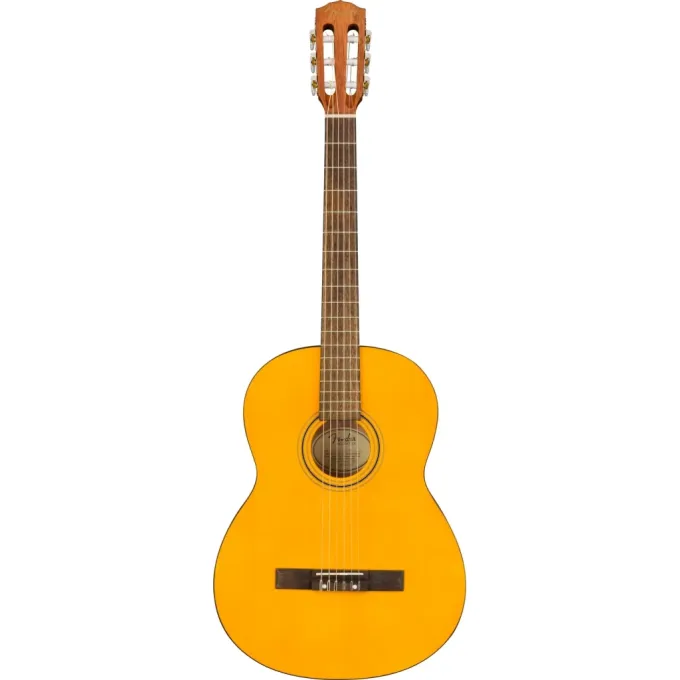 Fender 230828