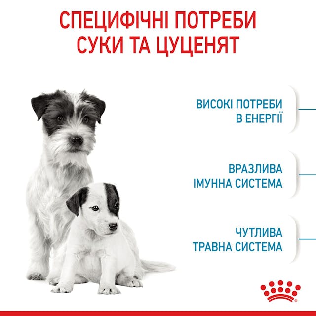 Royal Canin 2990010