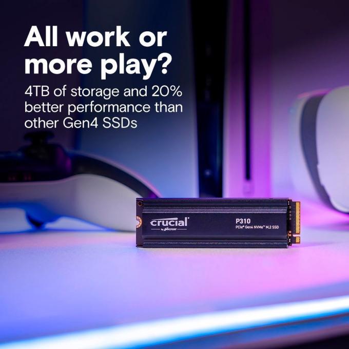 Micron CT1000P310SSD5