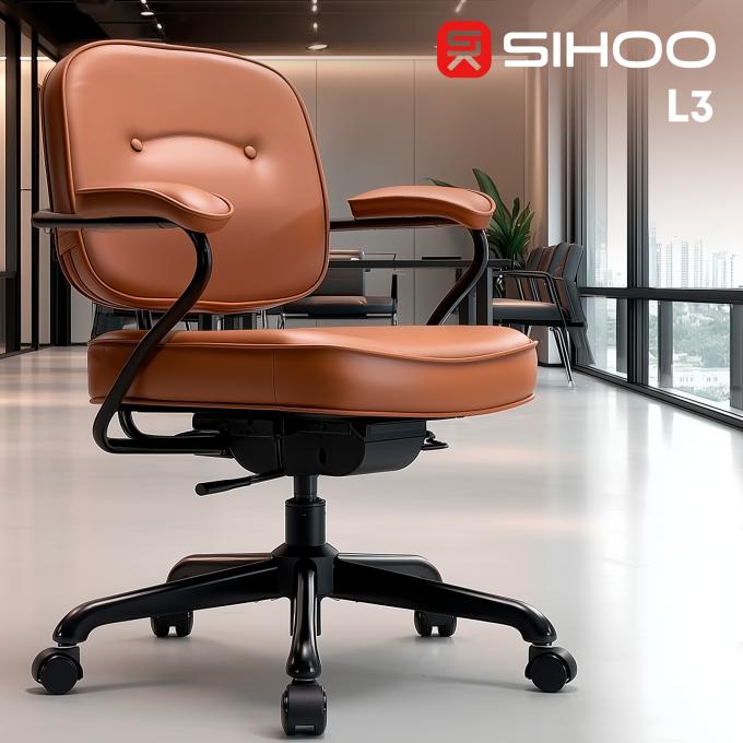 Sihoo L3D-M101