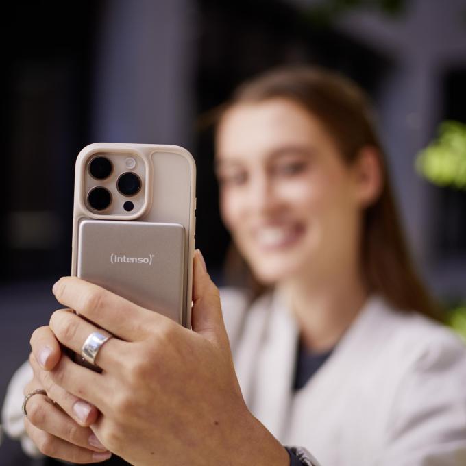 Intenso 7344021