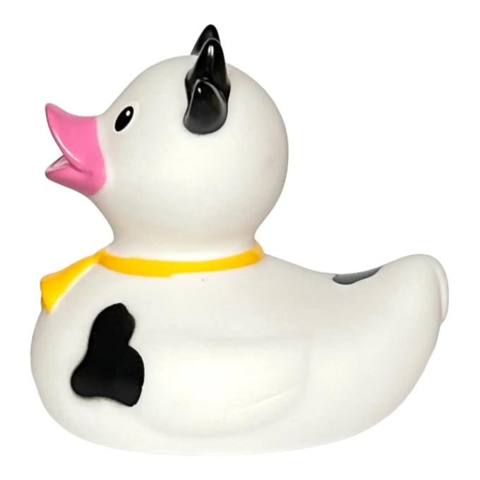 Funny Ducks 1832