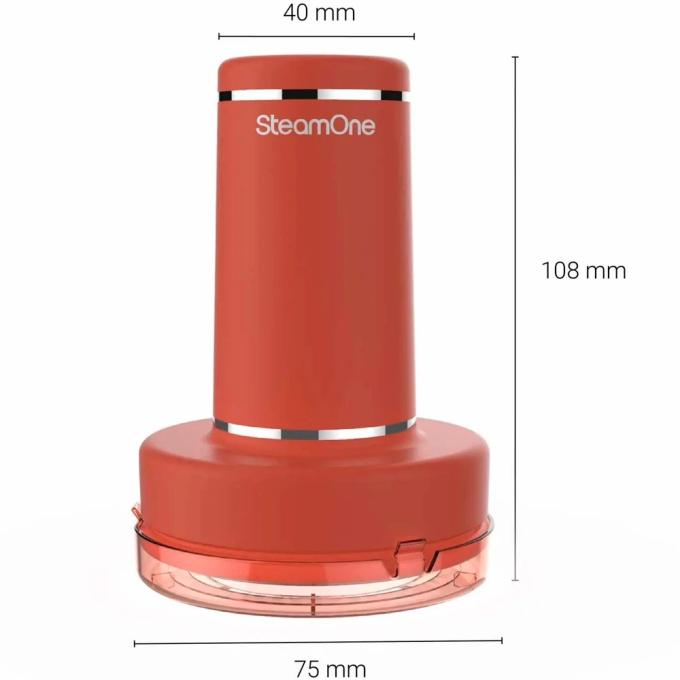 SteamOne RUSTRP10
