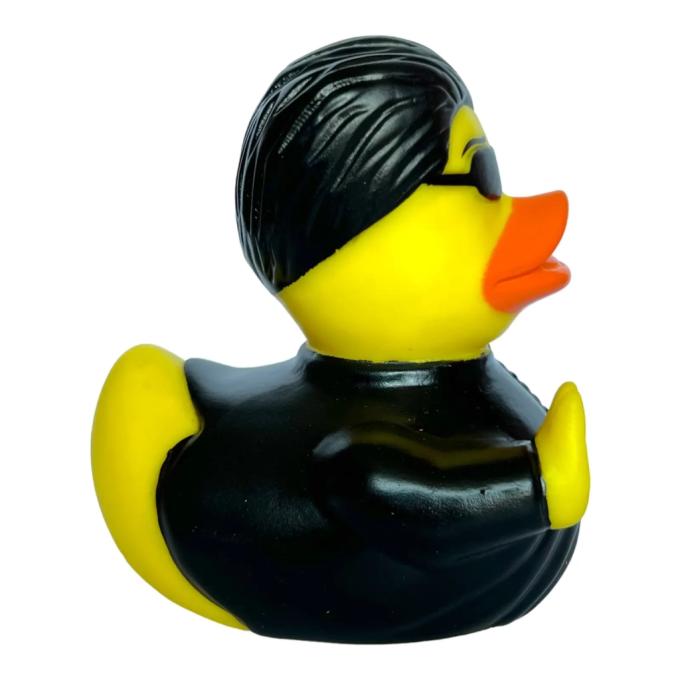 Funny Ducks 1324