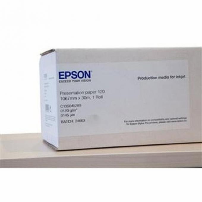 EPSON C13S045289