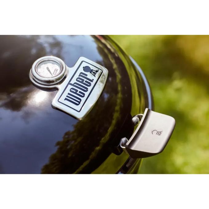Weber 17301004
