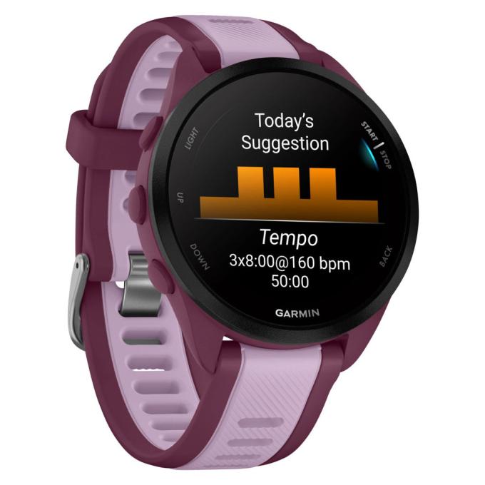 Garmin 010-02863-33