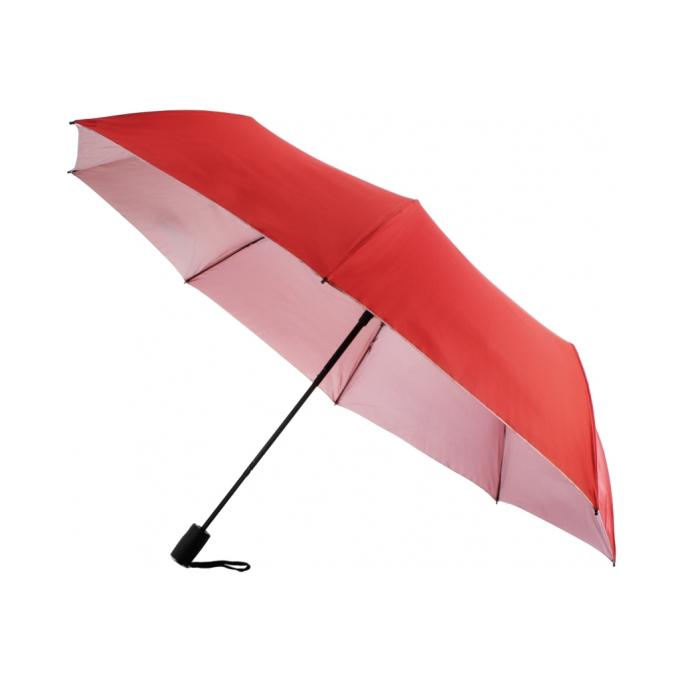 Economix Promo E98424