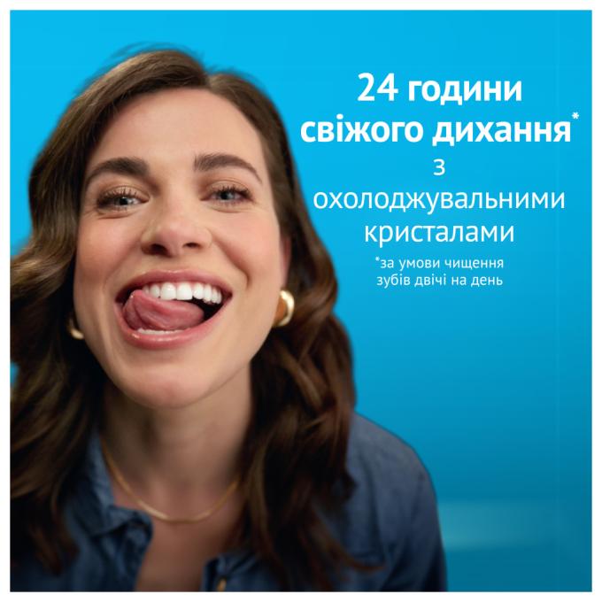 Oral-B 8006530254779