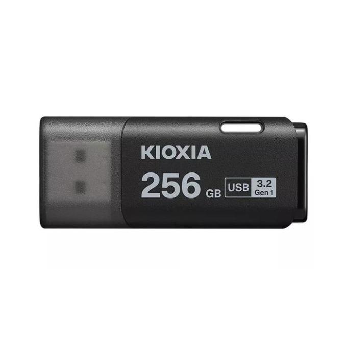 Kioxia LU301K256GG4