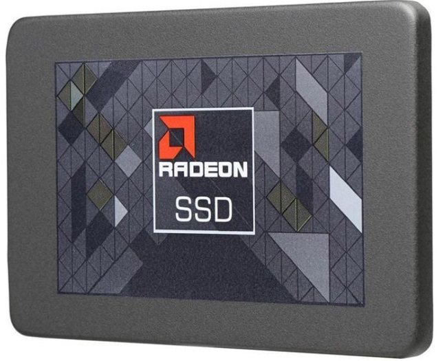 AMD R5SL256G