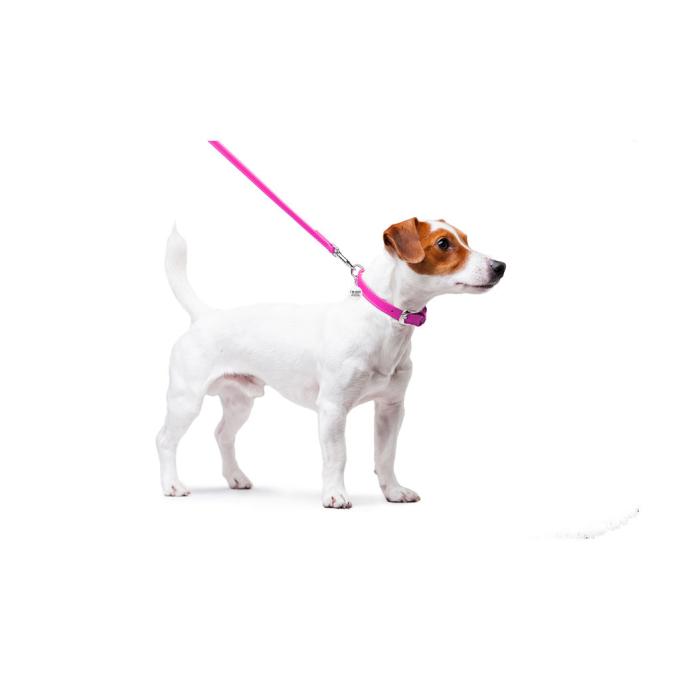 WAUDOG 33727