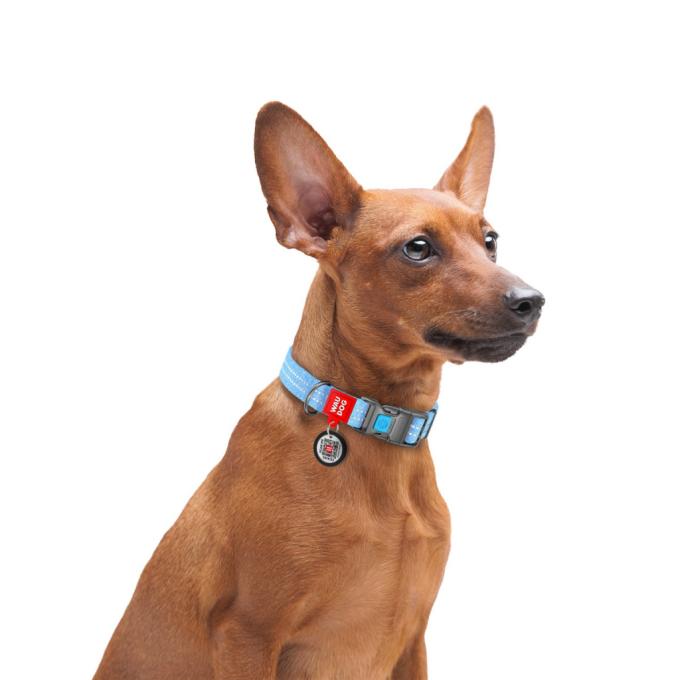 WAUDOG 02922