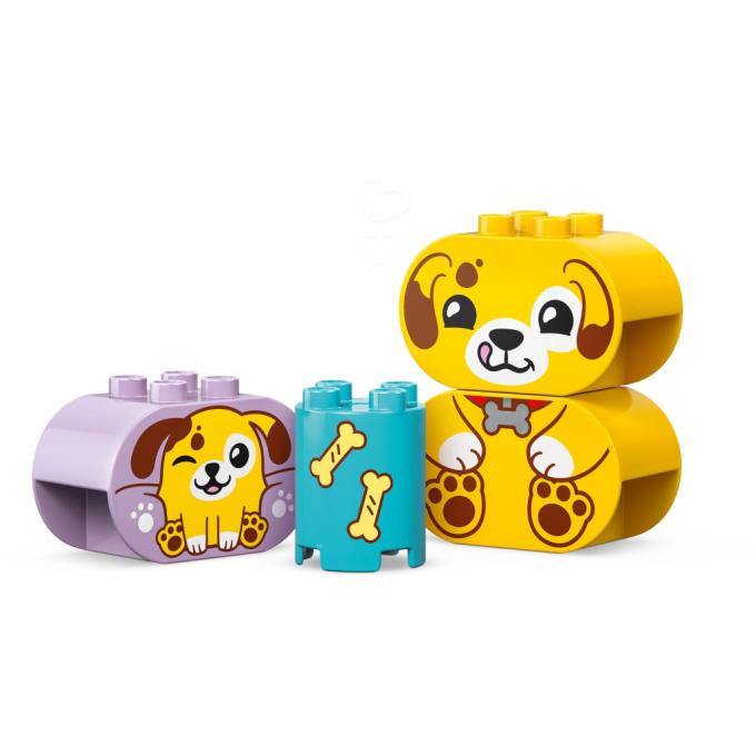 LEGO 10441
