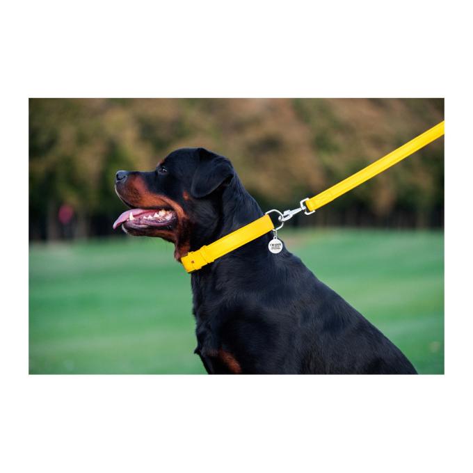 WAUDOG 33768