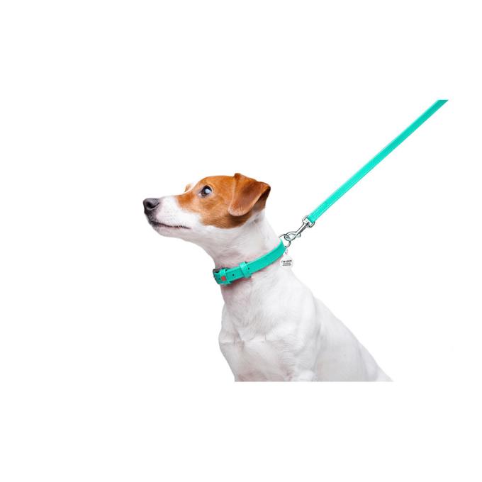 WAUDOG 337213