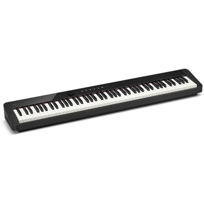 Casio 222065
