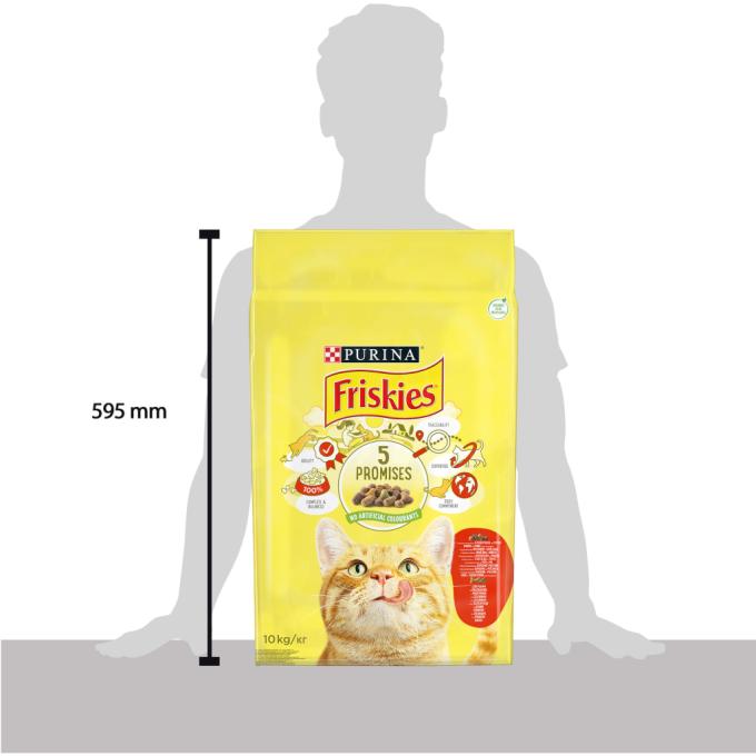 Purina Friskies 5997204569004