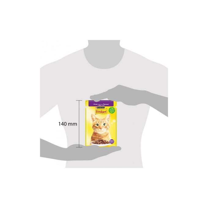 Purina Friskies 7613036974431