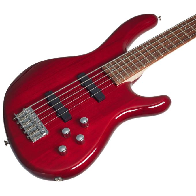 Cort Action Bass V Plus TR