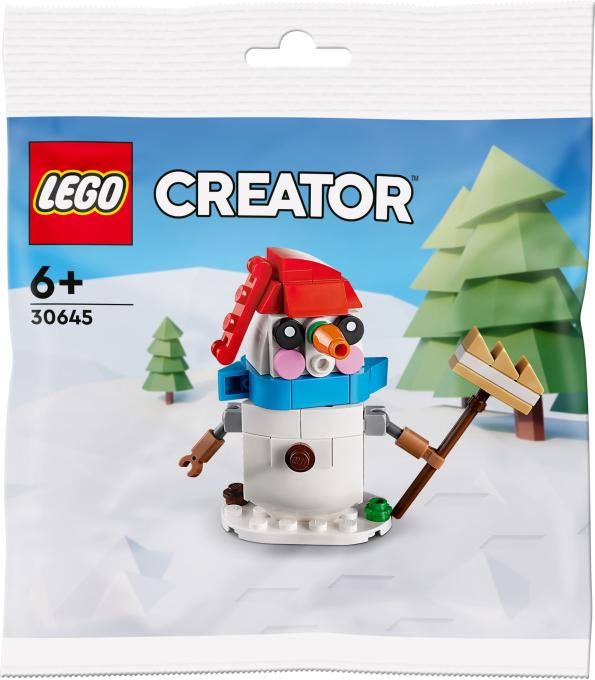 LEGO 30645