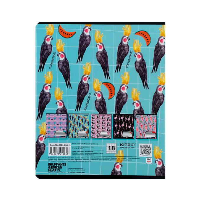 Kite K24-236-1
