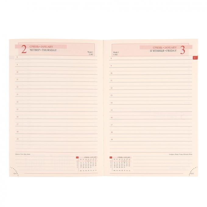 Leo planner 252599