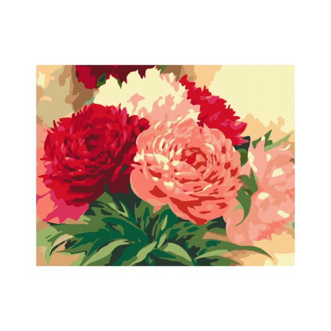 Rosa 4823098526117