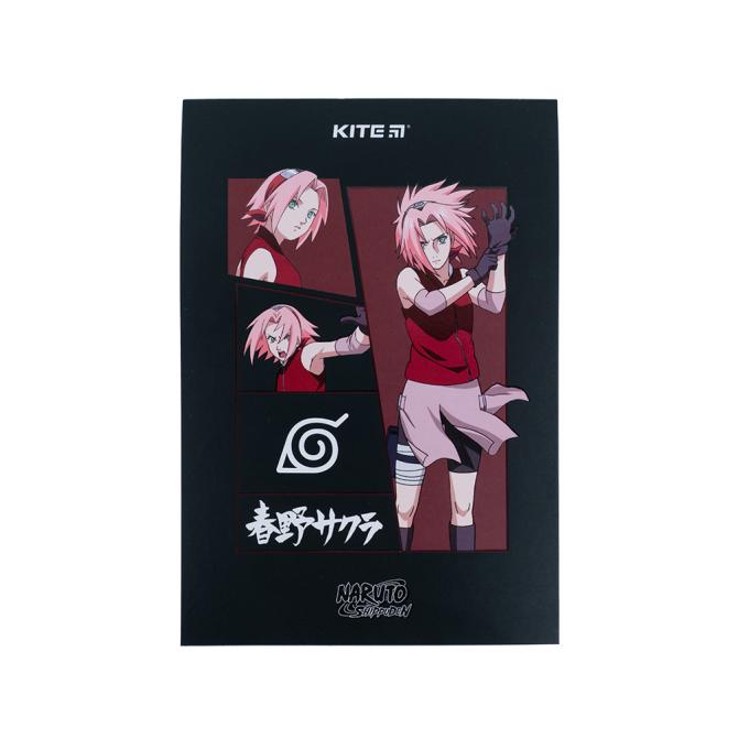 Kite NR23-194-2