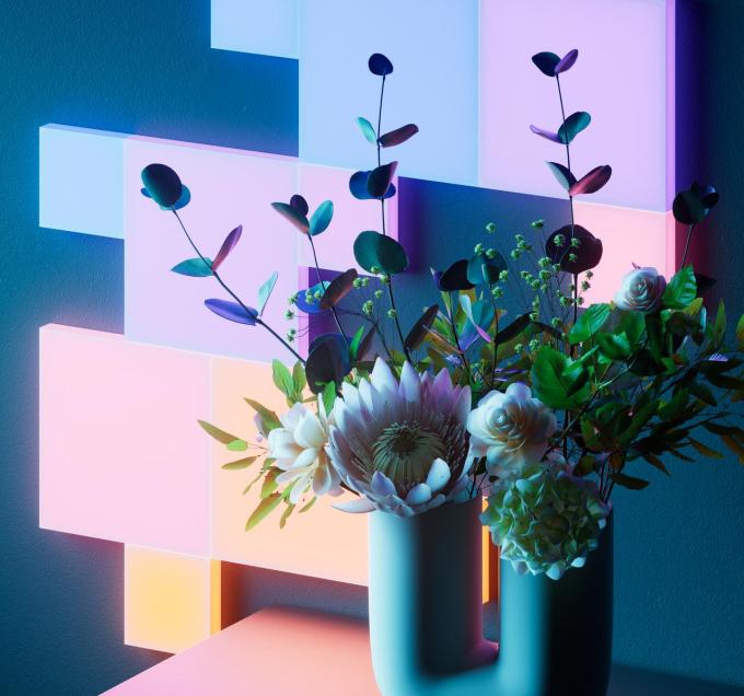 Nanoleaf N8100K02-6BS