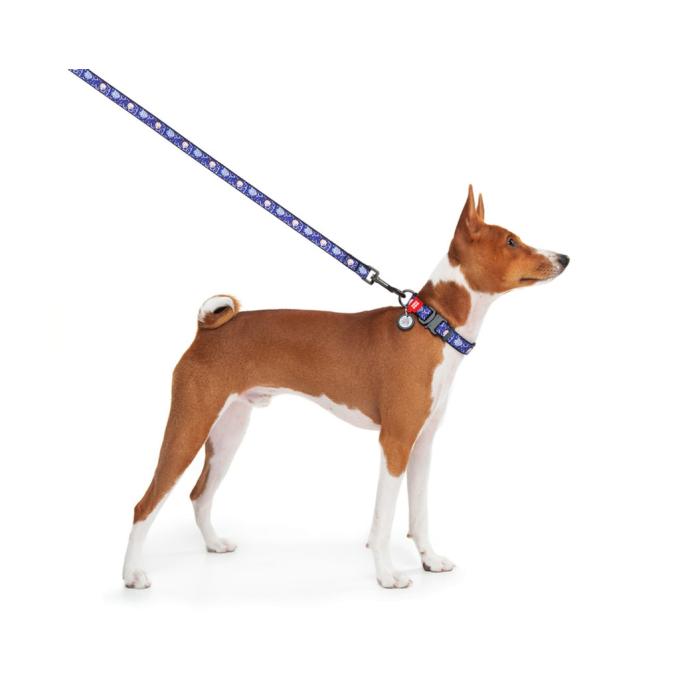 WAUDOG 4925-0281