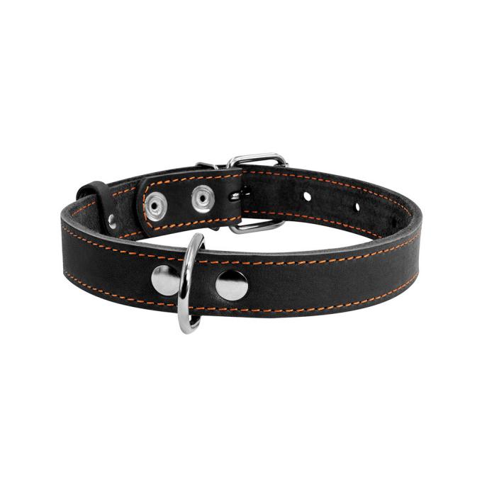 Collar 02731
