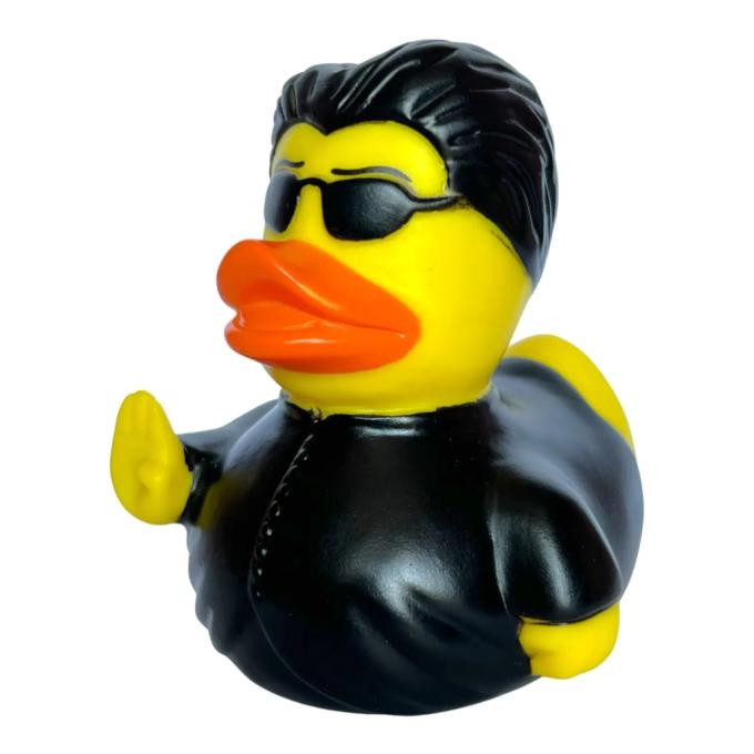 Funny Ducks 1324