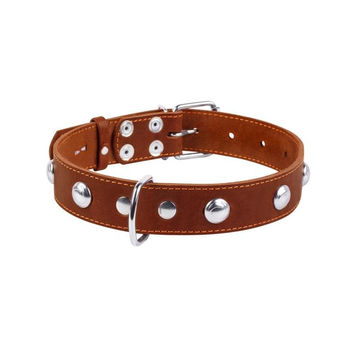 Collar 02716