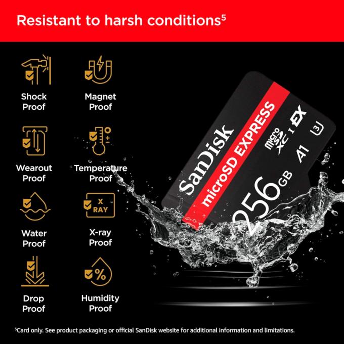 SANDISK SDSQXFN-256G-GN4NN