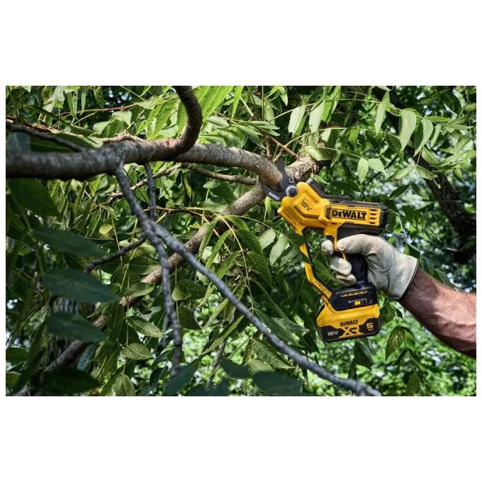 DeWALT DCMPP568N