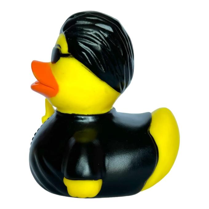 Funny Ducks 1324