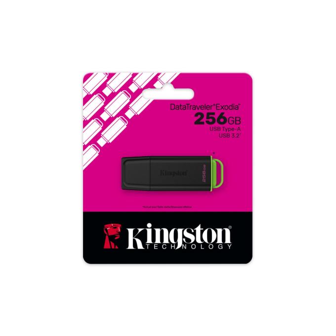 Kingston DTXG2/256GB