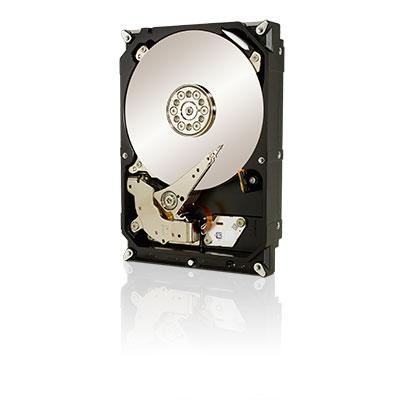 Seagate ST1000DX001