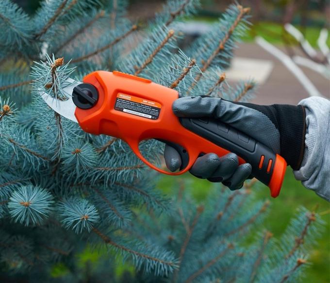 SEQUOIA SBP3610C