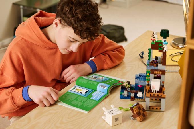 LEGO 21597-