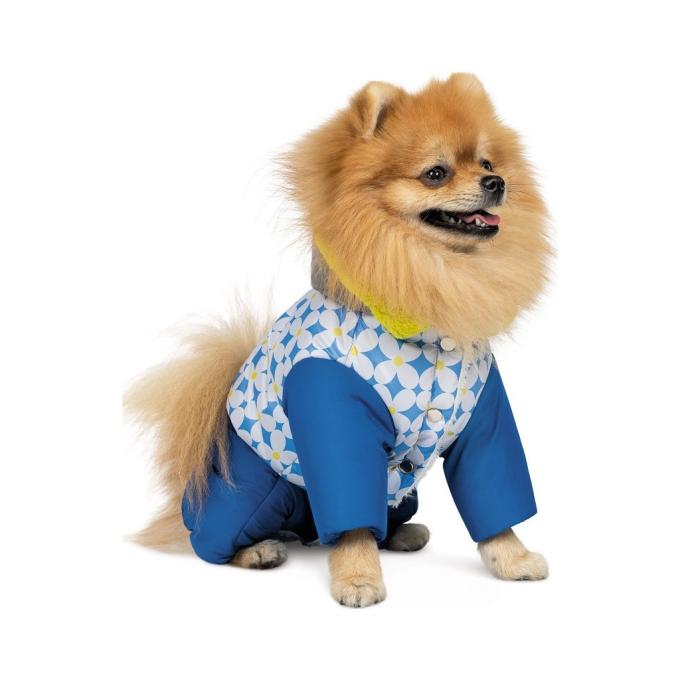Pet Fashion 4823082427642