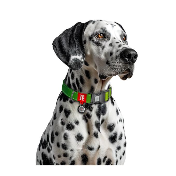 WAUDOG 52095