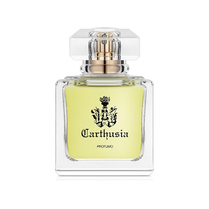 Carthusia 353510