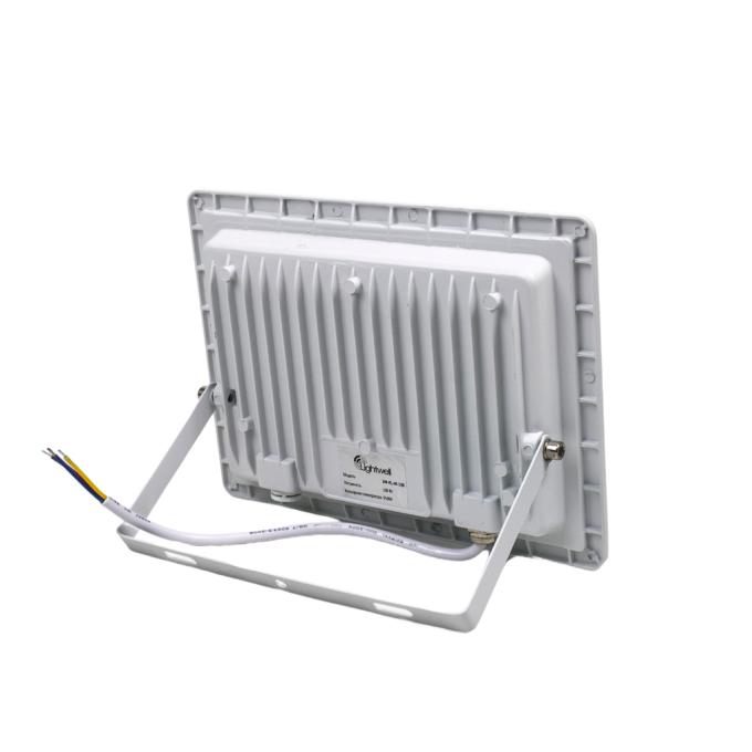 Lightwell LW-FL-W-100 100 W
