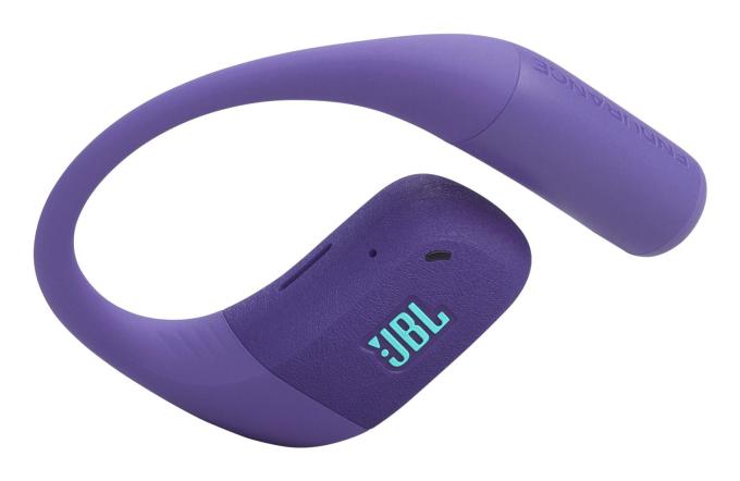 JBL JBLENDUZONEPUR