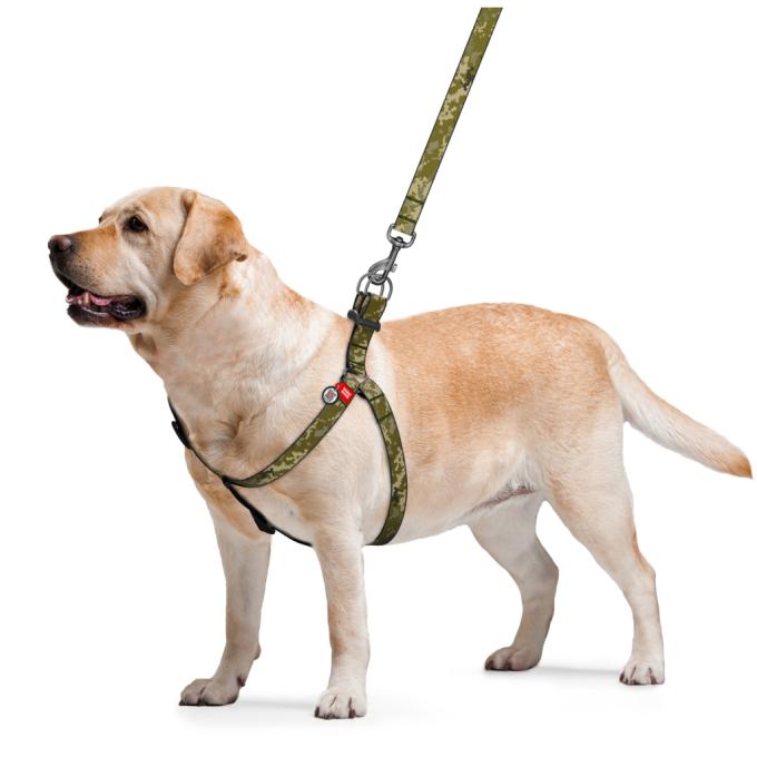 WAUDOG 331-4026